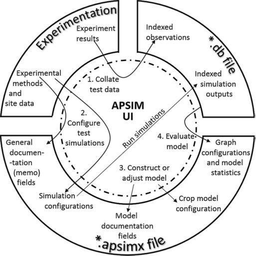 apsim next generation wheat apsim next generation wheat