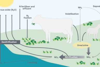 GHG emissions cycle diagram