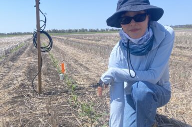 A UQ researcher doing field work