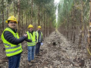 Workshop participants inspecting a plantation